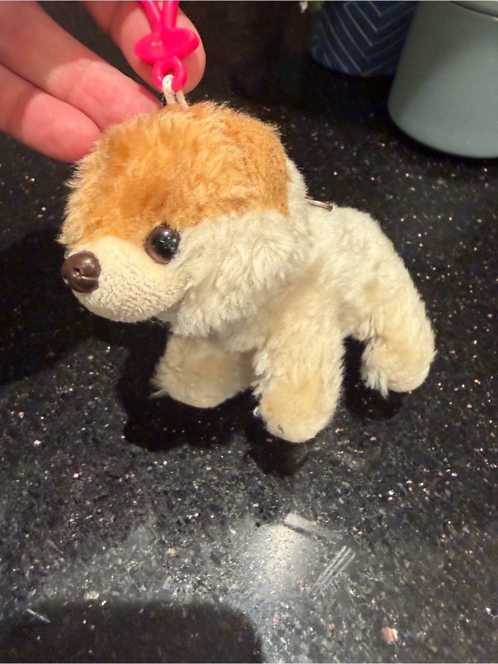 Boo Cutest Zipper Dog Clip